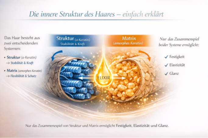 Innere Struktur des Haares mit Struktur und Matrix erklärt